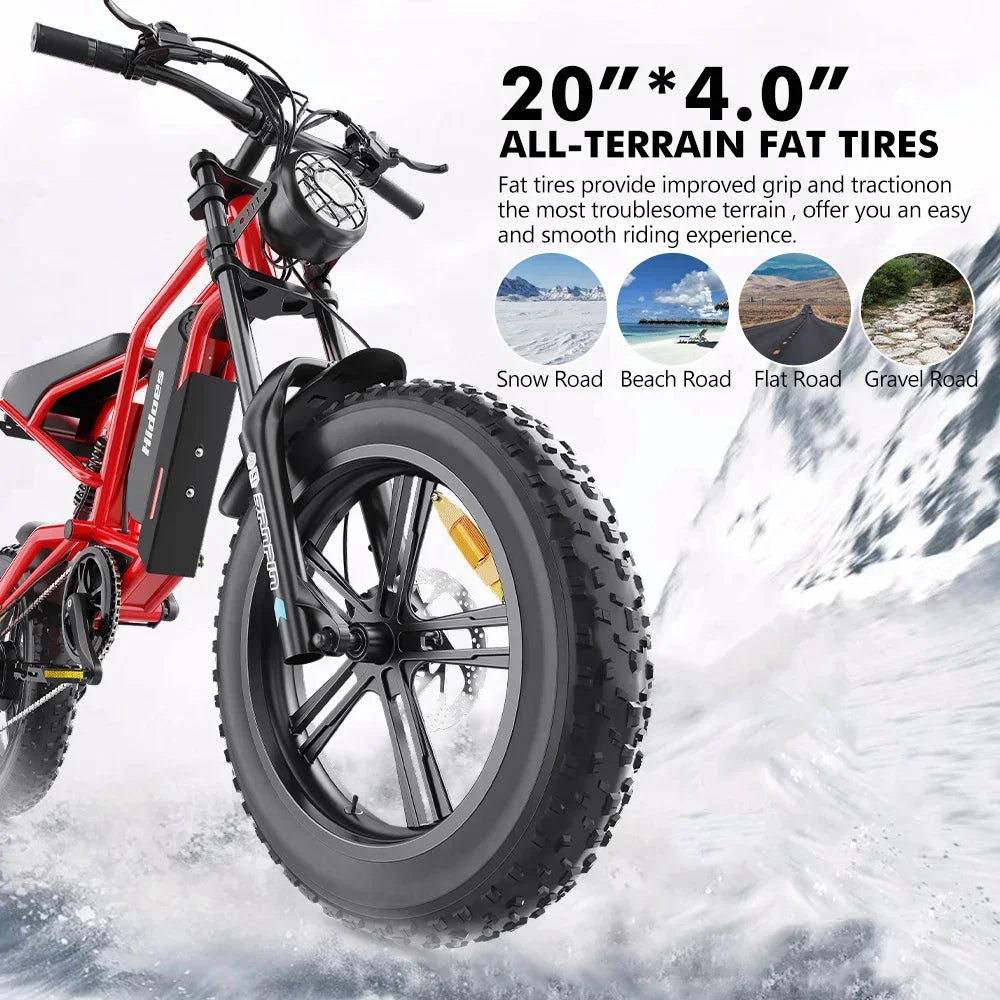 HD-B6 Electric Bike 1200W Powerful Motor 48V15.6AH Removable Battery Aldult Electric Bicycle 20*4.0 Fat Tire All Terrain E-bike