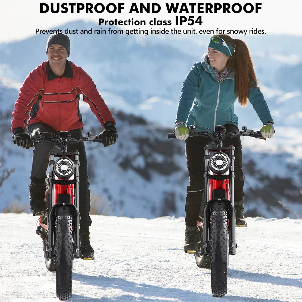 HD-B6 Electric Bike 1200W Powerful Motor 48V15.6AH Removable Battery Aldult Electric Bicycle 20*4.0 Fat Tire All Terrain E-bike