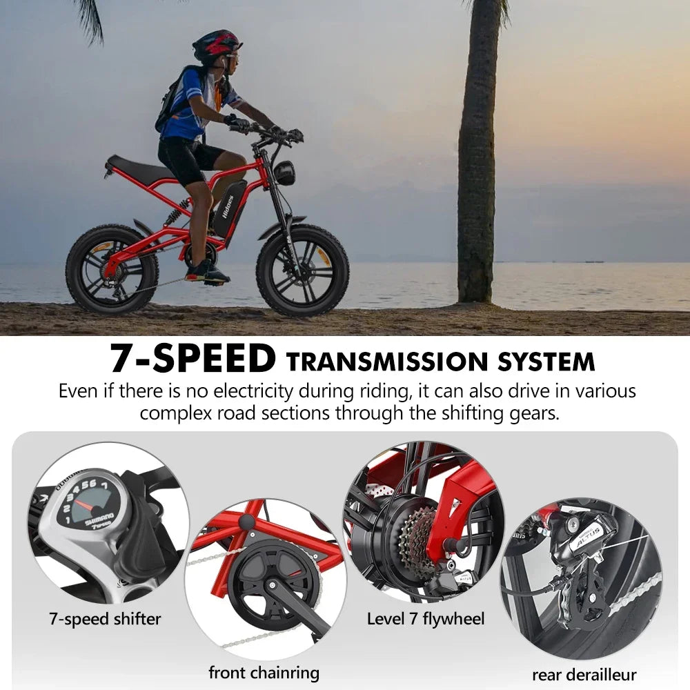 HD-B6 Electric Bike 1200W Powerful Motor 48V15.6AH Removable Battery Aldult Electric Bicycle 20*4.0 Fat Tire All Terrain E-bike