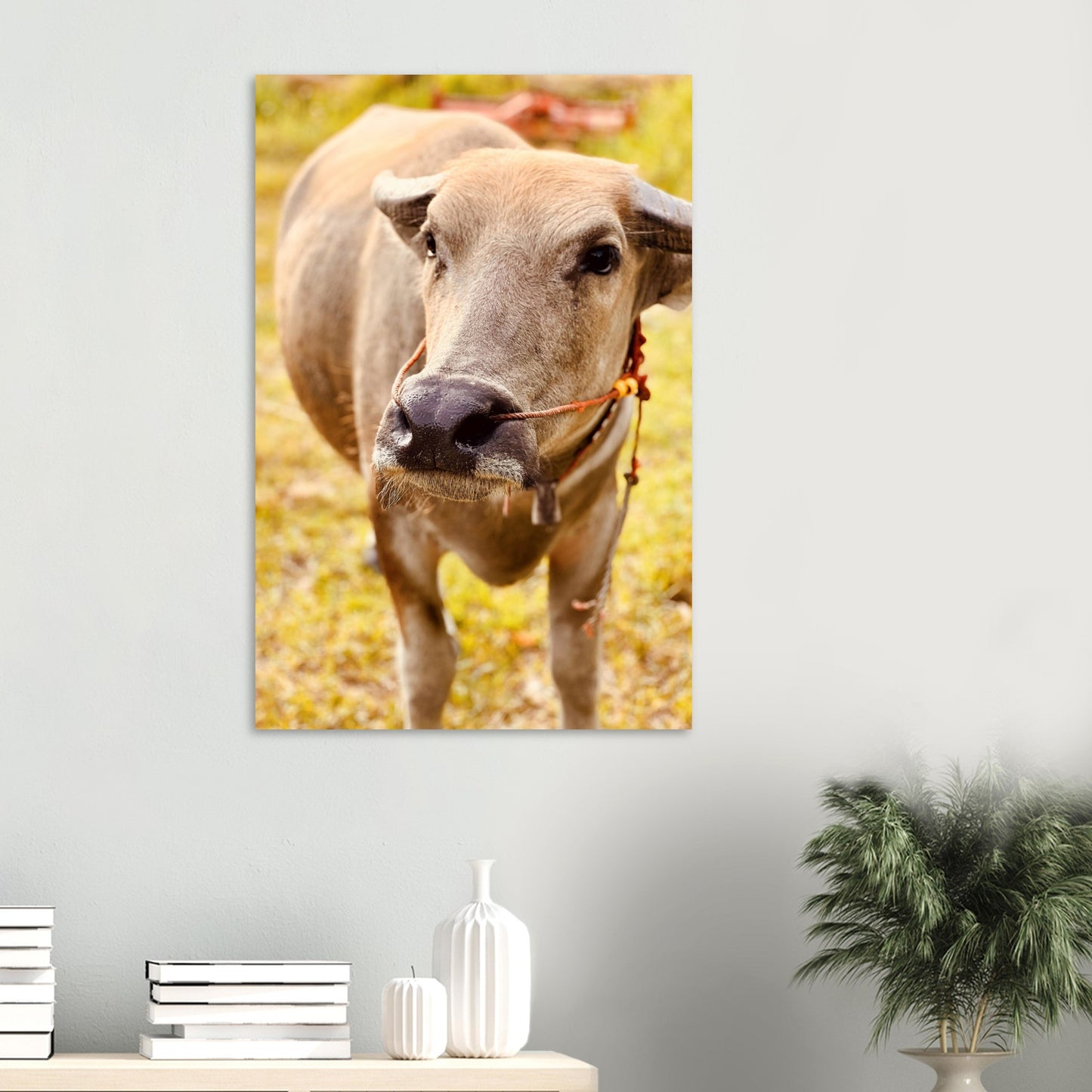 4bb9b636-200f-4f7a-a520-95283cd1a041