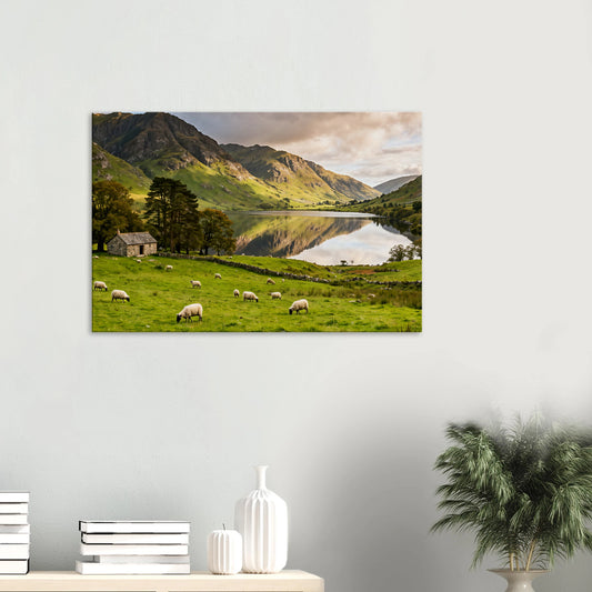 589ab582-302d-4863-b541-b21b5e7d5078