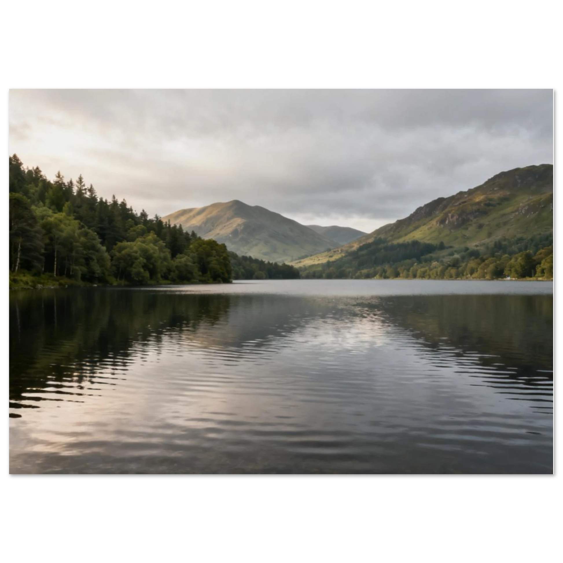 70cc844f-3530-4006-8518-daf11fb59768