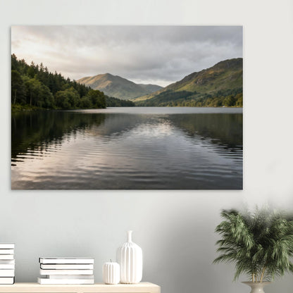 743e8d70-4fd0-42bf-a79b-0fb655fe0dd7