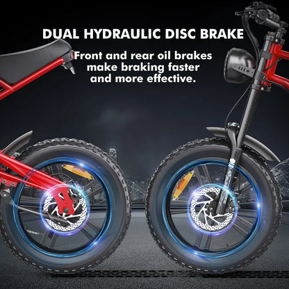 HD-B6  Electric Bike 1200W Powerful Motor 48V15.6AH Removable Battery Aldult Electric Bicycle 20*4.0 Fat Tire All Terrain E-bike