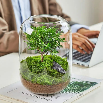 Desktop Bonsai Fresh Bonsai Micro Landscape Eco Bottle Vase Finished Good Nutritious Moss Bonsai