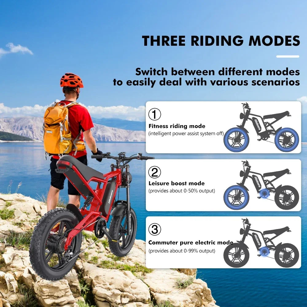 HD-B6  Electric Bike 1200W Powerful Motor 48V15.6AH Removable Battery Aldult Electric Bicycle 20*4.0 Fat Tire All Terrain E-bike