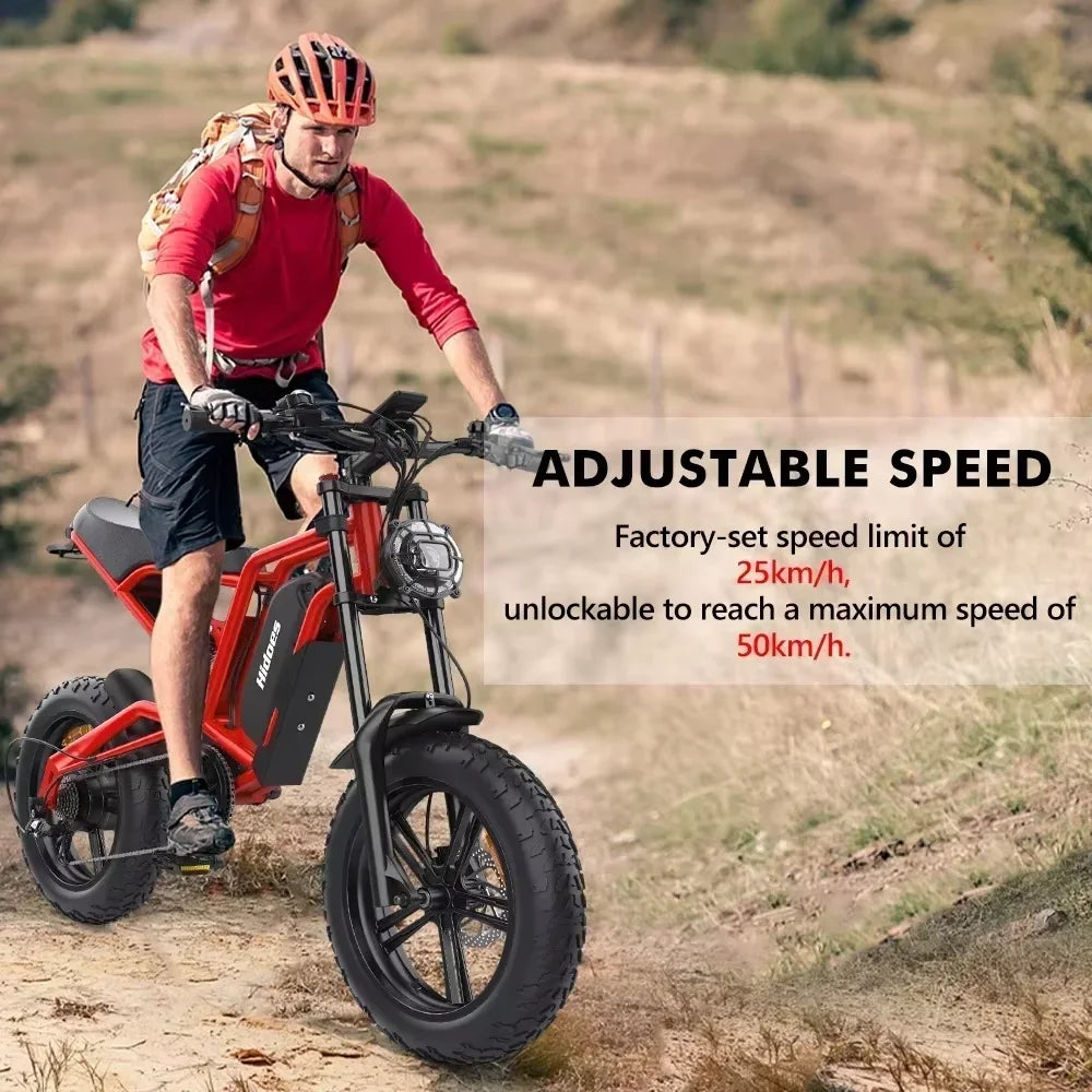 HD-B6  Electric Bike 1200W Powerful Motor 48V15.6AH Removable Battery Aldult Electric Bicycle 20*4.0 Fat Tire All Terrain E-bike