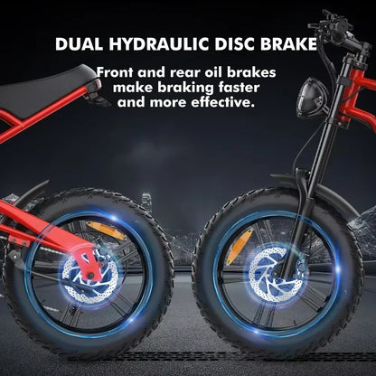 HD-B6  Electric Bike 1200W Powerful Motor 48V15.6AH Removable Battery Aldult Electric Bicycle 20*4.0 Fat Tire All Terrain E-bike