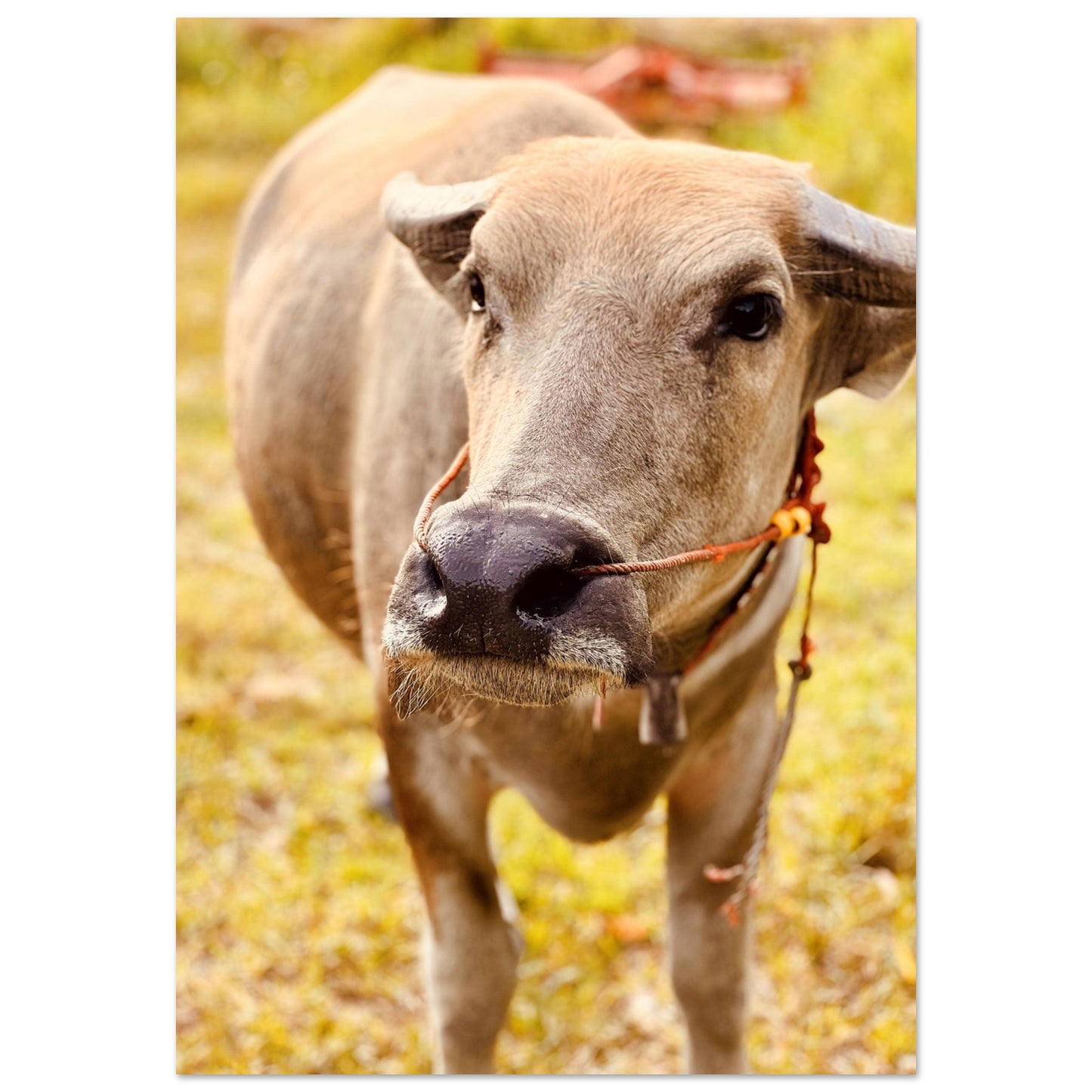 e7ec99a6-0755-4a42-827a-6ef5fbf28ef7